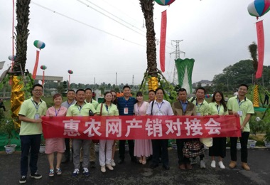 2017漢壽蔬菜網上采購節