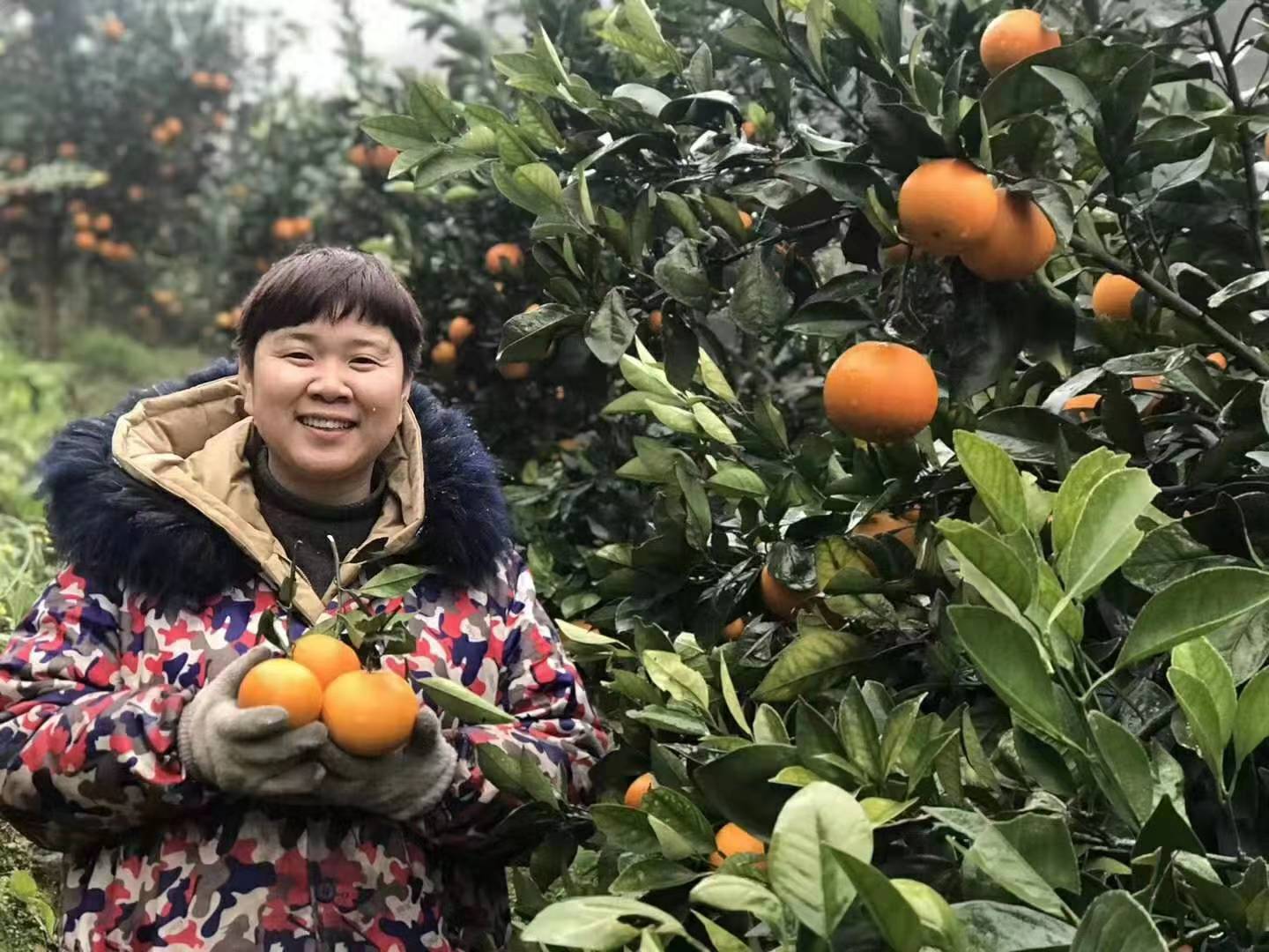 微信圖片_20191129102939.jpg 微信圖片_20191129102939.jpg