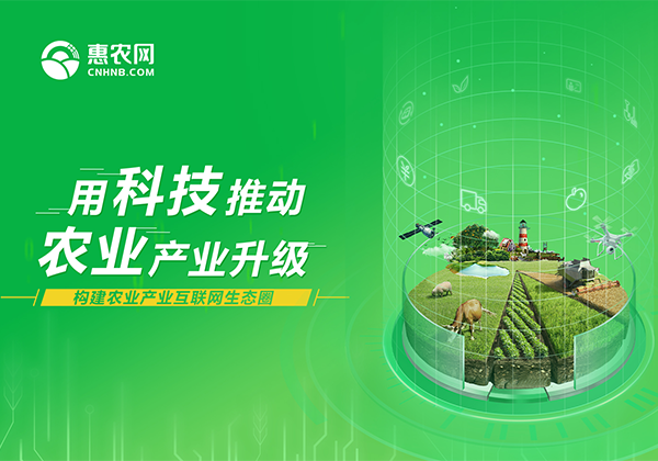 國際商報專訪 | 對接農業各環節助力精準扶貧 農村電子商務綻放光芒
