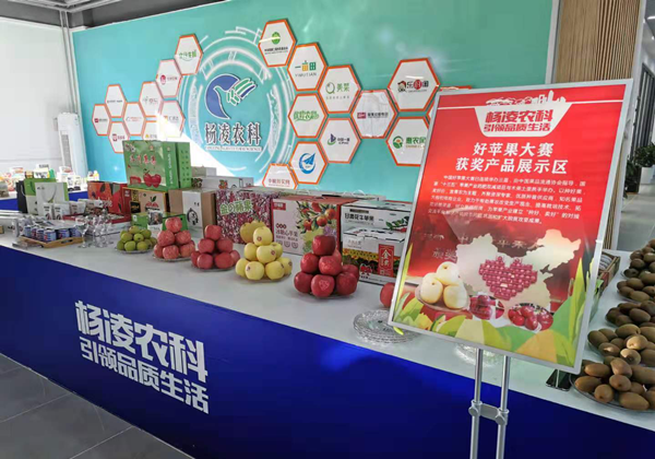 圖片2.png 圖片2.png