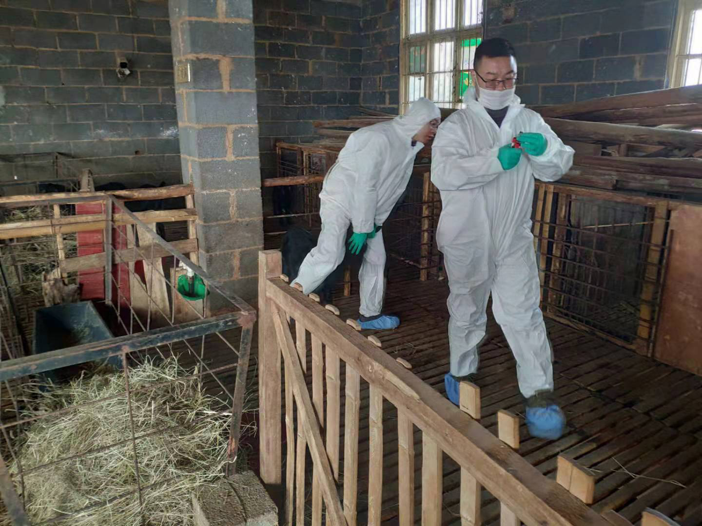 惠農網農技學堂，讓專家與農戶面對面