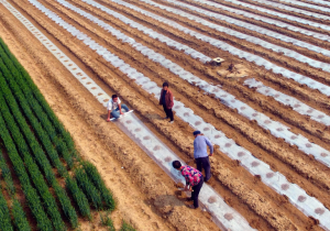 疫情之后，農資行業的“危”與“機”