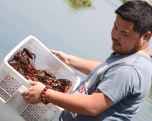 勵志！惠農(nóng)網(wǎng)90后商家一年賣出1000萬洪湖小龍蝦