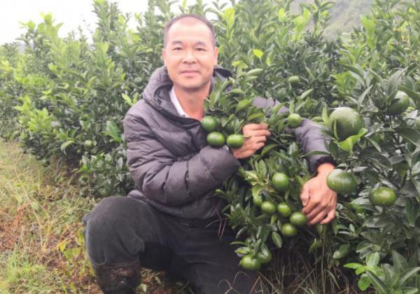 “惠農直播”和“看行情”兩大功能助力惠農網商家日進斗金