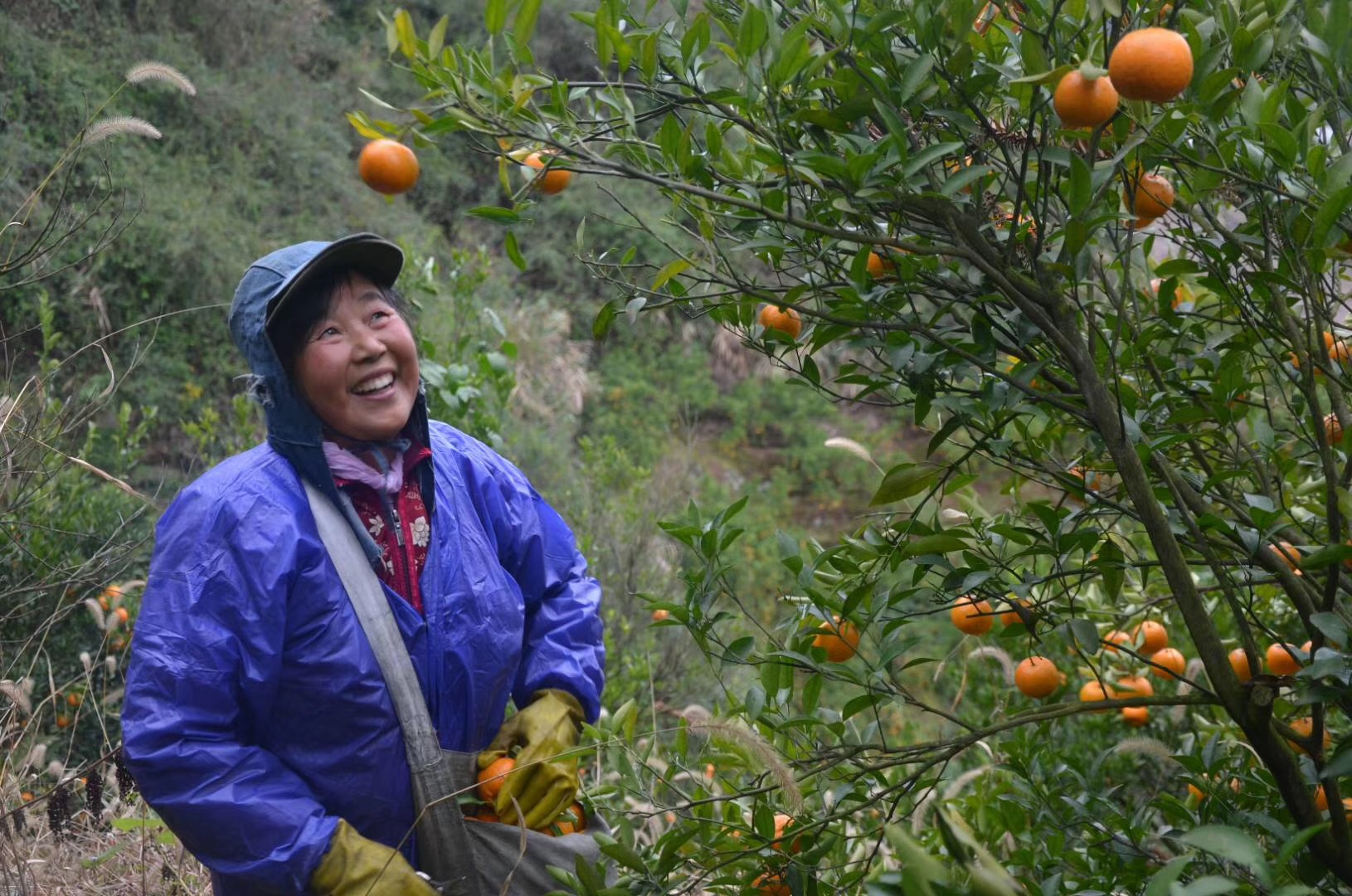 圖片5.png 圖片5.png