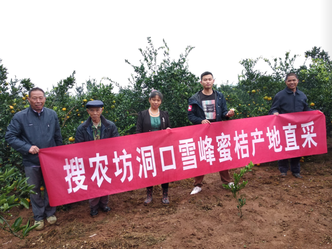 圖片3.1.png 圖片3.1.png