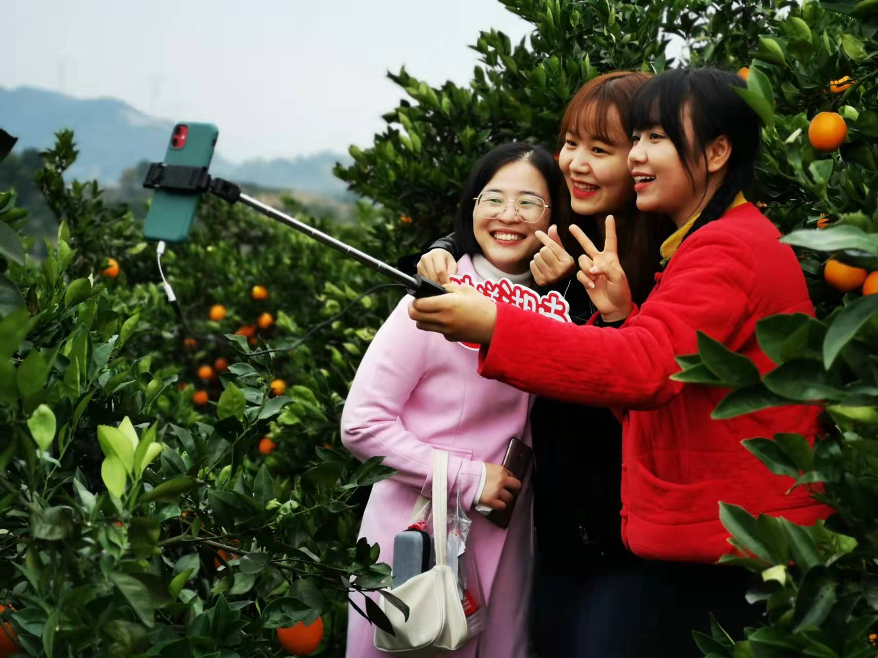 微信圖片_20211116110812.jpg 微信圖片_20211116110812.jpg