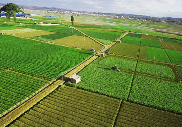 農(nóng)業(yè)農(nóng)村部辦公廳關(guān)于開展2022年全國休閑農(nóng)業(yè)重點(diǎn)縣申報(bào)和監(jiān)測工作的通知