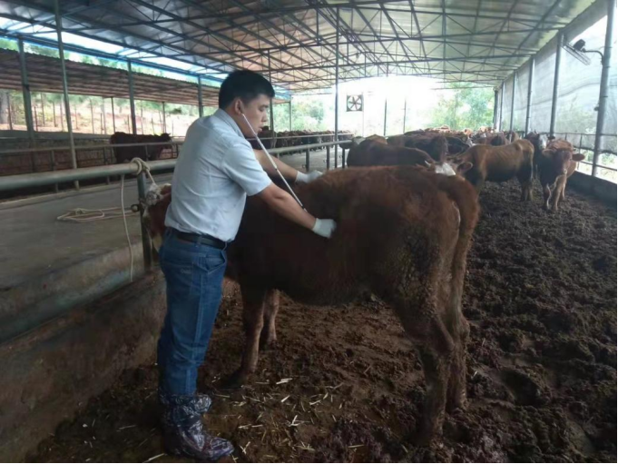 1659339199902.jpg 1659339199902.jpg