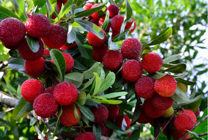 1659340959361.jpg 1659340959361.jpg