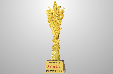 榮獲商務(wù)部中國(guó)電商扶貧聯(lián)盟“2019年突出貢獻(xiàn)獎(jiǎng)”.jpg 榮獲商務(wù)部中國(guó)電商扶貧聯(lián)盟“2019年突出貢獻(xiàn)獎(jiǎng)”.jpg