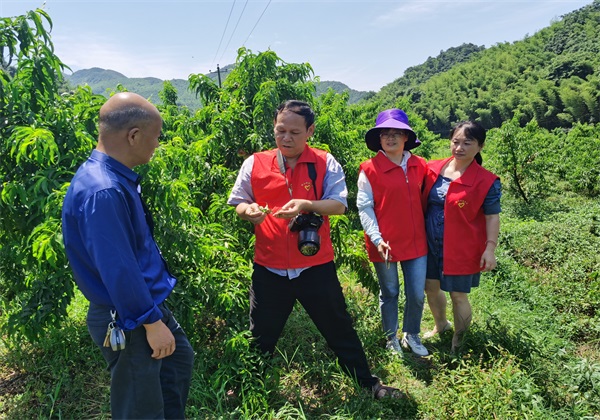 惠農(nóng)網(wǎng)農(nóng)技專家王迪軒：33年田間耕耘 用科學觀念護航農(nóng)業(yè)生產(chǎn)