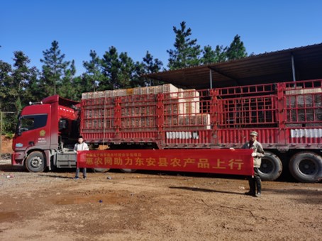 圖片5.jpg 圖片5.jpg