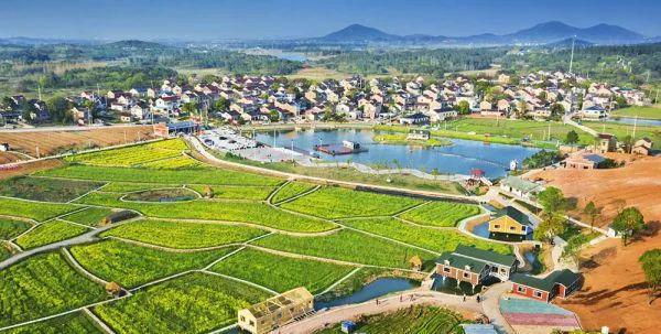 農業農村部、財政部2024年農業產業融合發展項目申報通知發布