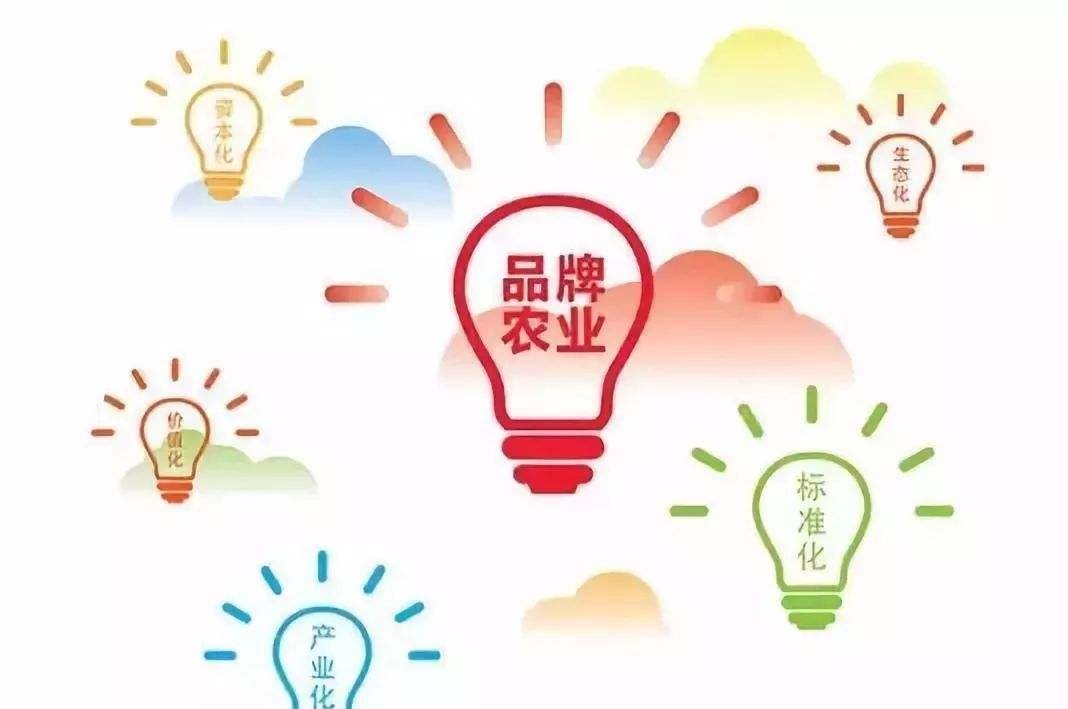 農業農村部:開展2024年農業品牌精品培育工作 農業農村部:開展2024年農業品牌精品培育工作