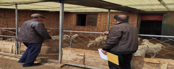 科技助力鄉(xiāng)村振興！惠農(nóng)網(wǎng)專家喬普海在線解答1.67萬個(gè)養(yǎng)殖難題