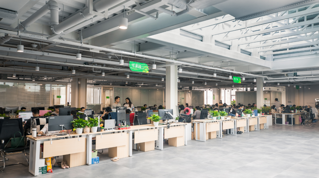 1731737874466.jpg 1731737874466.jpg