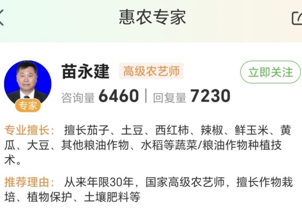 惠農網農技專家苗永建：傳技“多面手”，讓玉米平均單產達1.34萬公斤/公頃