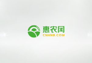 小崗電商助農直播電商培訓開班